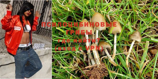 ешки Михайлов