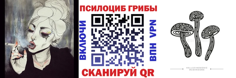 Купить  Бирюч  Псилоцибиновые грибы Cubensis 